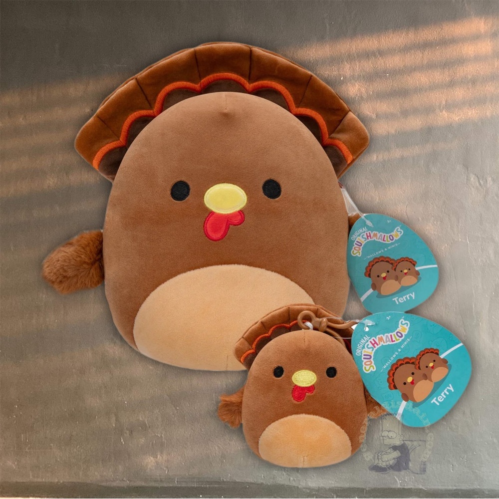 Squishmallows: Turkey Thanksgiving Terry 2-Pack Fall bundle 8” 3.5” clip fall